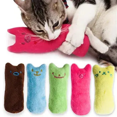 Peluche pour Animaux de Compagnie, Accessoire Amusant pour les Dents, Herbe à Chat, Griffes, Menthe boutique de chat