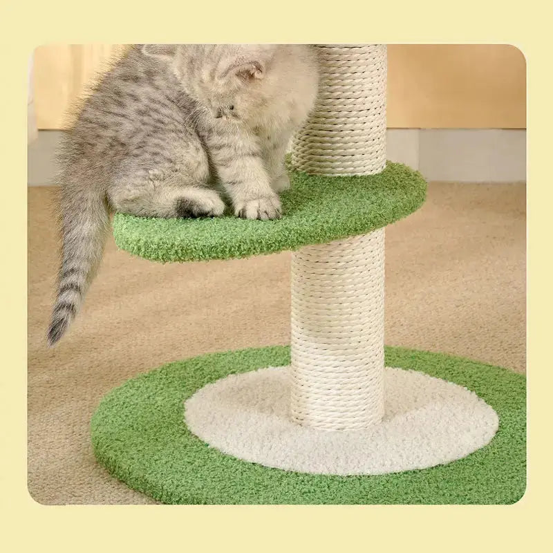 Arbre à Chat avec Perchoirs Confortables, Cadre d'Escalade Stable, Planche à Gratter boutique de chat-produit pour chat