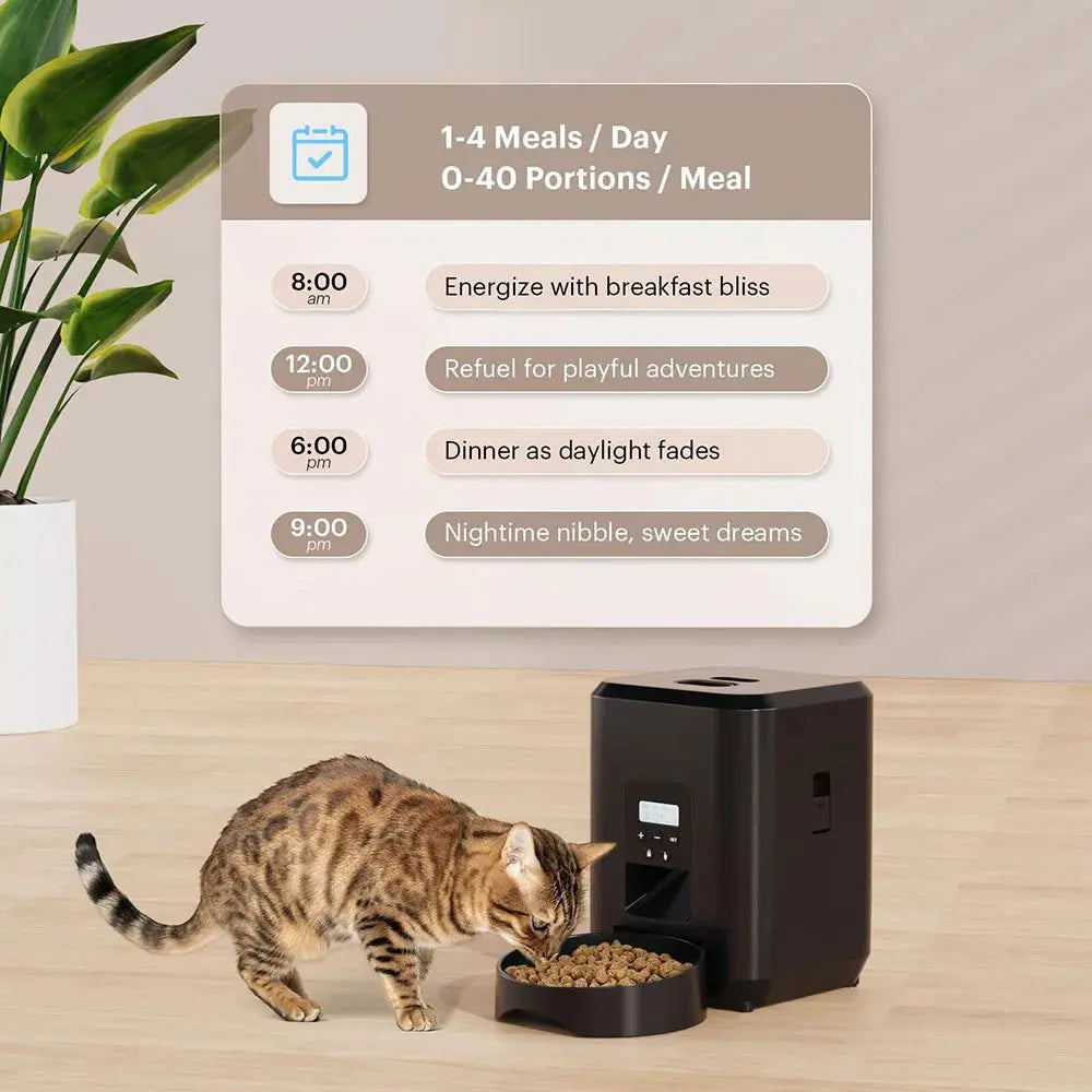 Mangeoire automatique programmable intelligente pour animaux de compagnie, distributeur de nourriture pour chat, enregistrable, chien, 2l boutique de chat