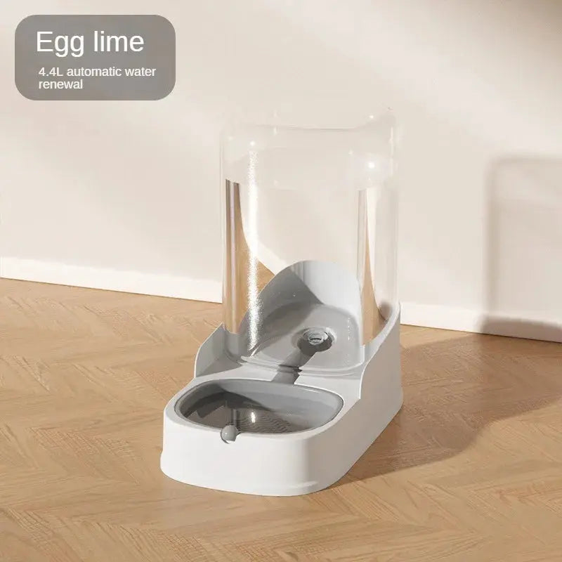 Mangeoire pour animaux de compagnie, distributeur d'eau, bol de nourriture pour chat et chien boutique des chats