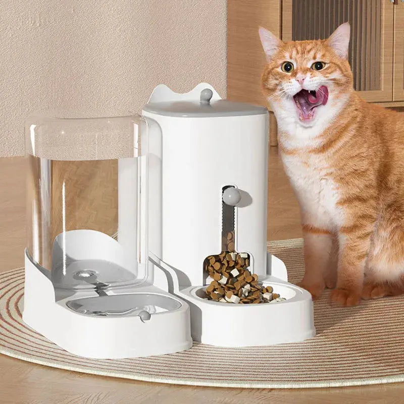 Mangeoire pour animaux de compagnie, distributeur d'eau, bol de nourriture pour chat et chien boutique des chats