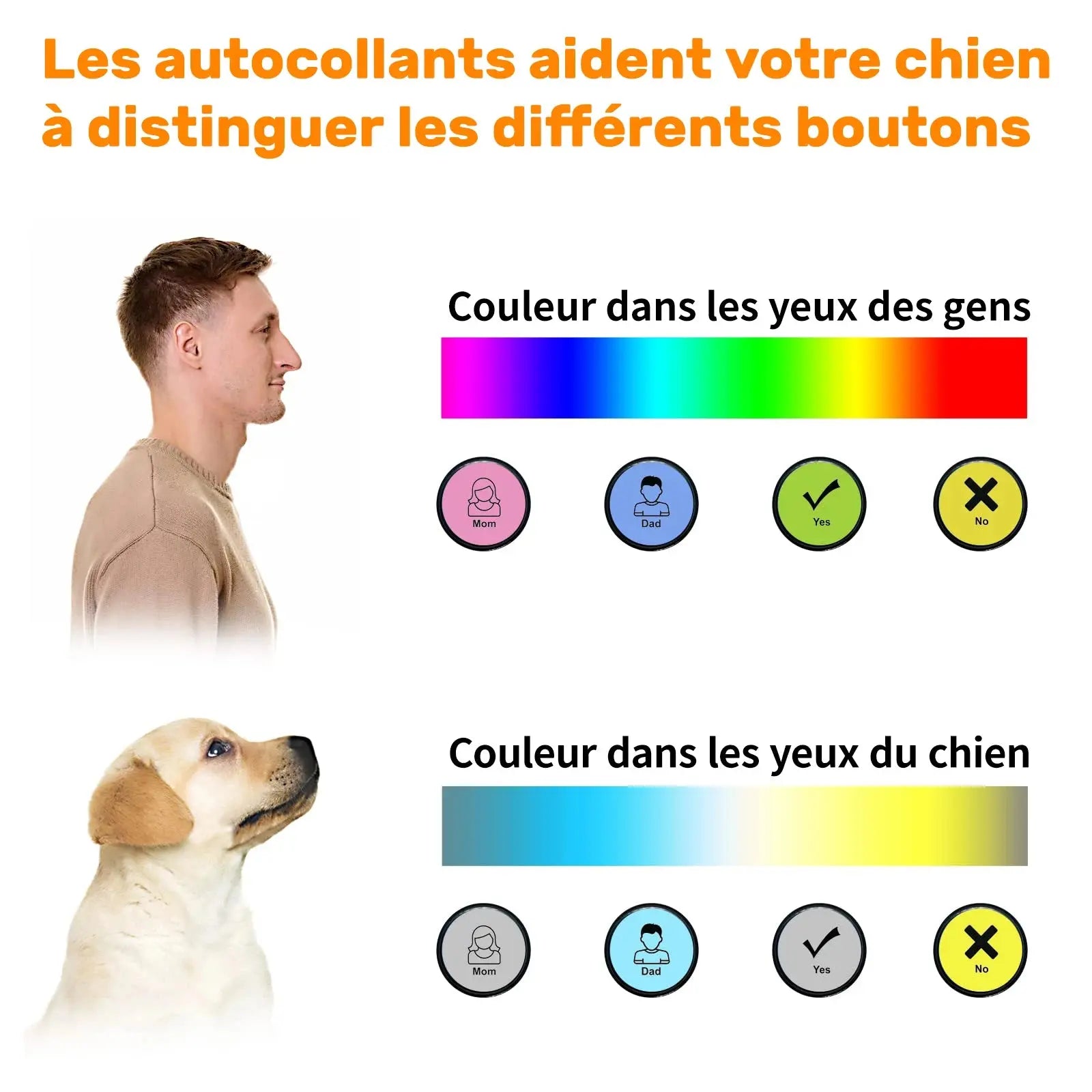 Jouets pour animaux de compagnie avec bouton statique vocal, enregistreur, boutons pour chien &chat, communication, boutique des chats