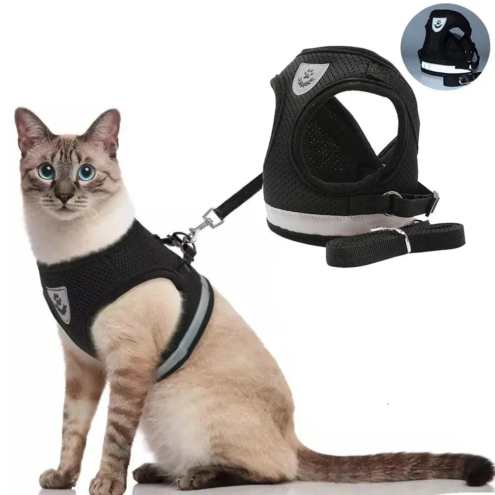 Harnais ajustable et respirante pour animal de compagnie, accessoire pour chien et chat, collier pour chiot et chaton boutique des chats