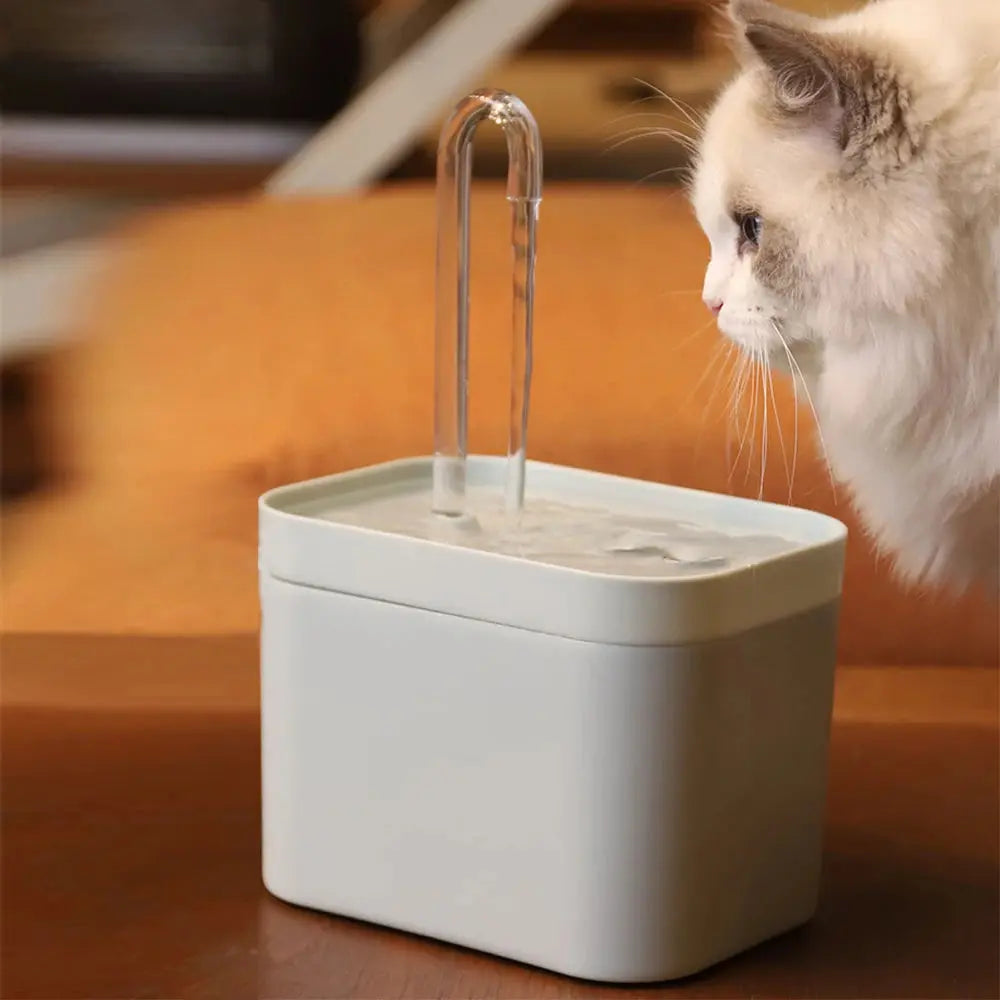 Fontaine à eau électrique ultra-silencieuse pour animaux de compagnie boutique des chats