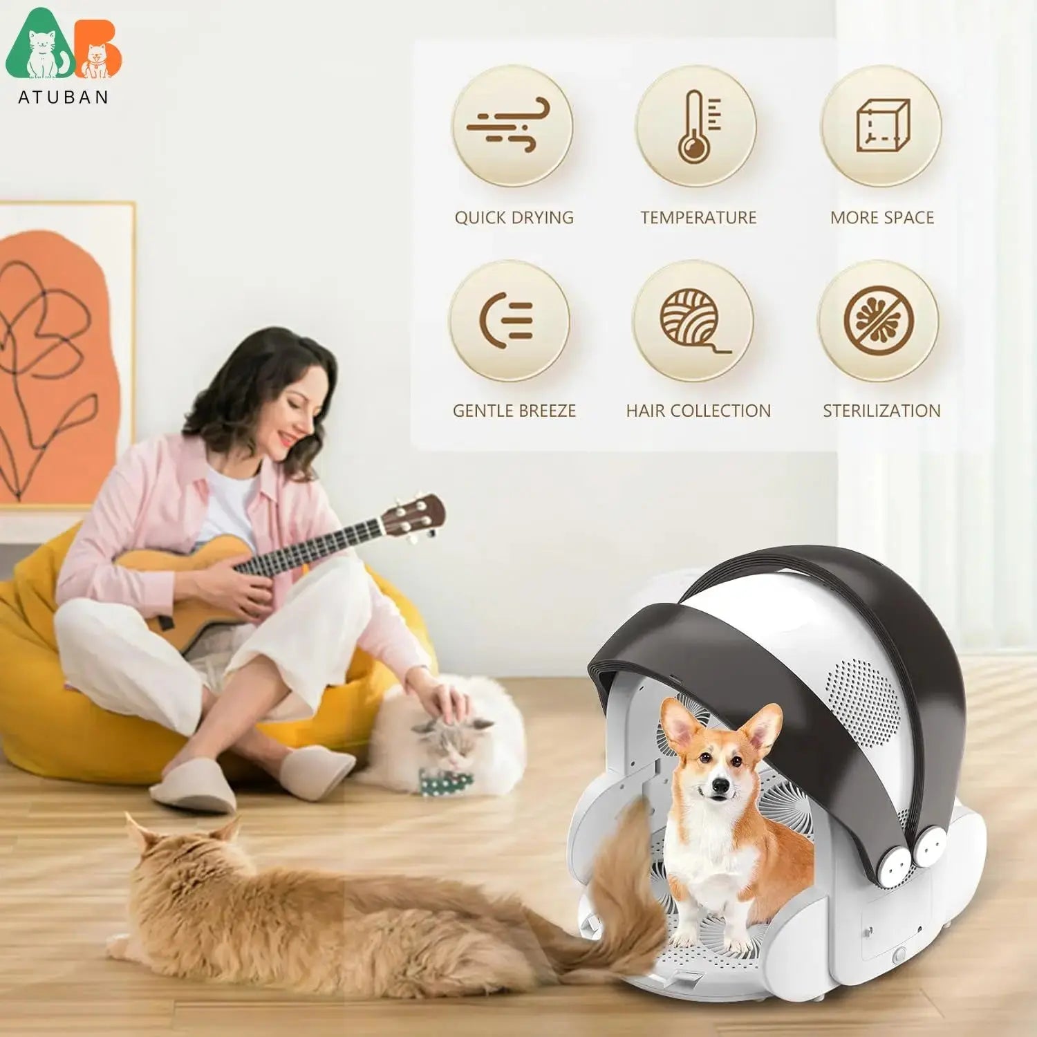 Boîte de séchage automatique pliable pour animaux de compagnie, minuterie de contrôle de la température du débit d'air boutique de chat