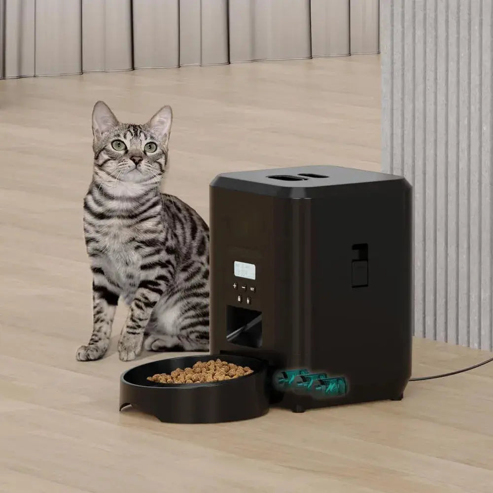 Mangeoire automatique programmable intelligente pour animaux de compagnie, distributeur de nourriture pour chat, enregistrable, chien, 2l boutique de chat