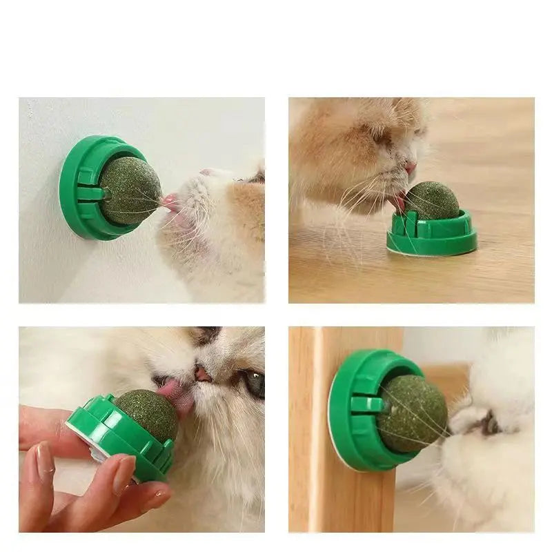 Herbe de cataire naturelle pour chat, jouets thérapeutiques et sains boutique des chats