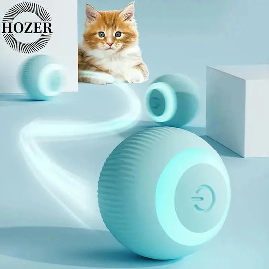 Balle Magique Interactive pour Chat, Jouet Intelligent boutique des chats