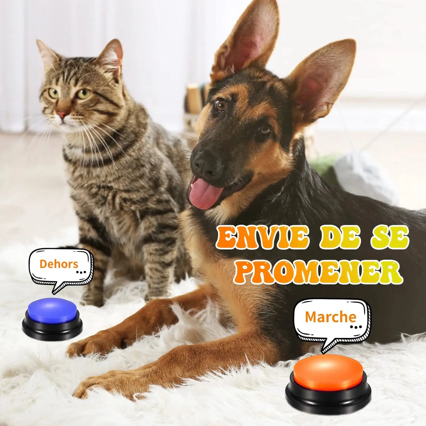 Jouets pour animaux de compagnie avec bouton statique vocal, enregistreur, boutons pour chien &chat, communication, boutique des chats